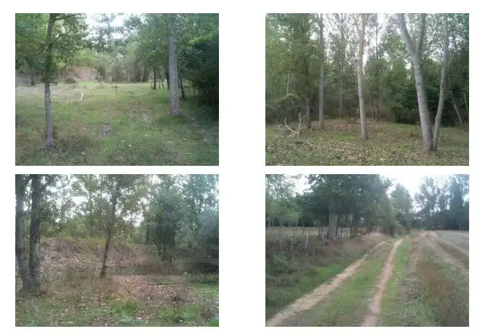 Rural land for sale in Medina de Pomar, imagen 5