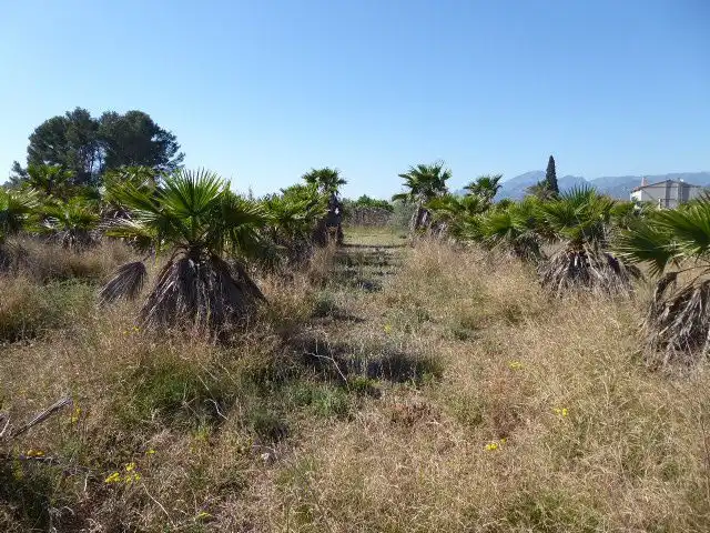 Finca rústica en venta en Xerta