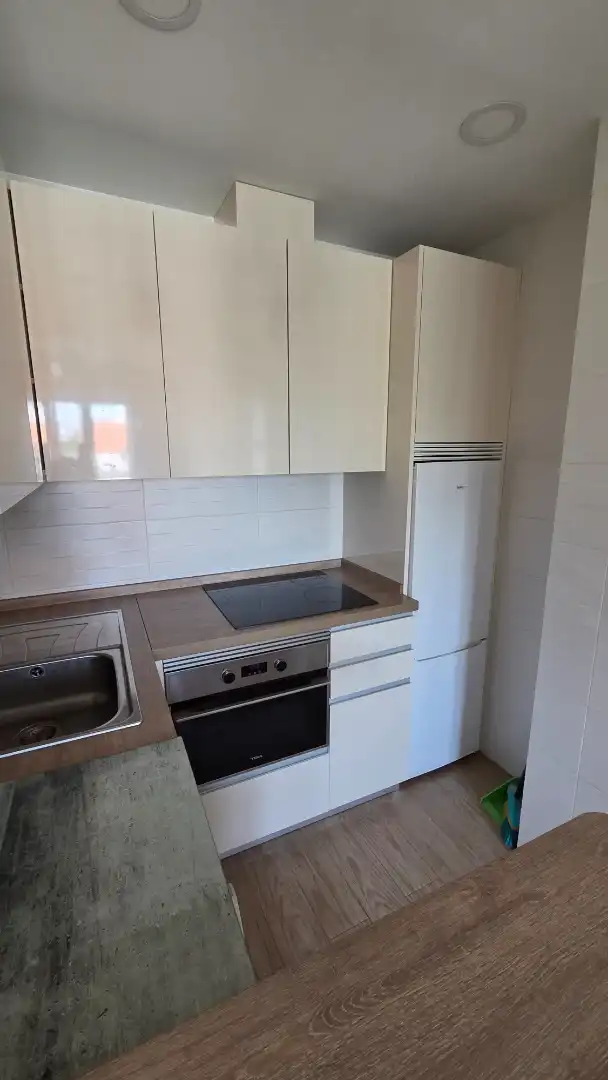 Kitchen of Apartments for rent in Madrid  with Air Conditioner, Heating and Furnished