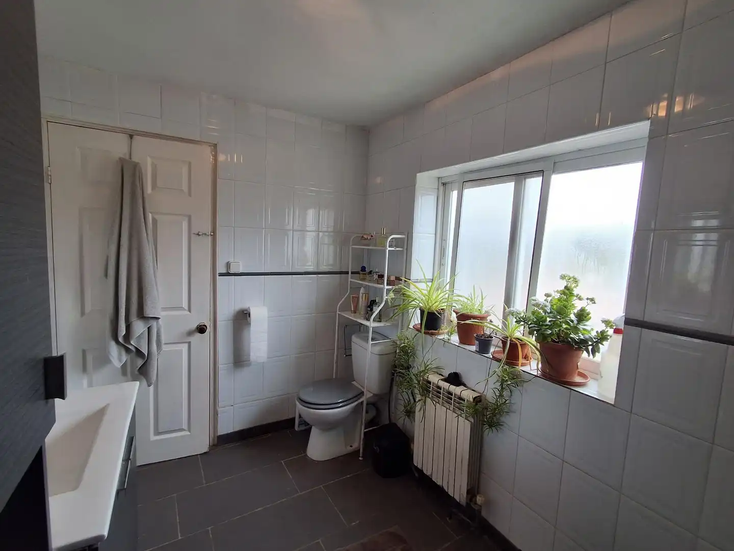 Baño de Casa o chalet en venta en Riba-roja d'Ebre