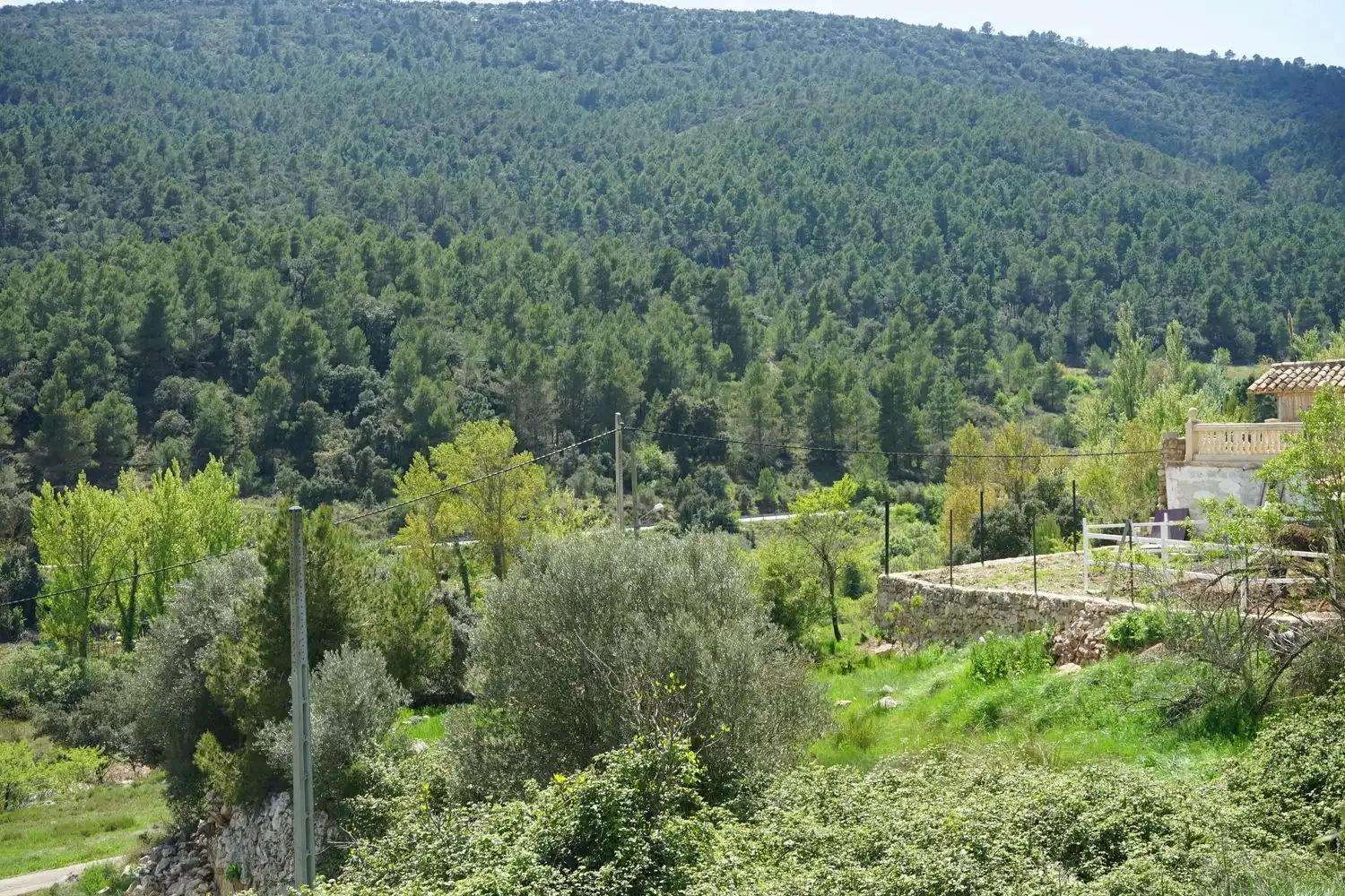 Rural land for sale in SUBIDA VILLAR DE OLMOS 0, imagen 5