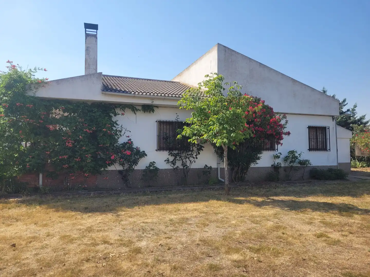 Vista exterior de Casa o chalet en venta en Matapozuelos con Calefacción y Jardín privado