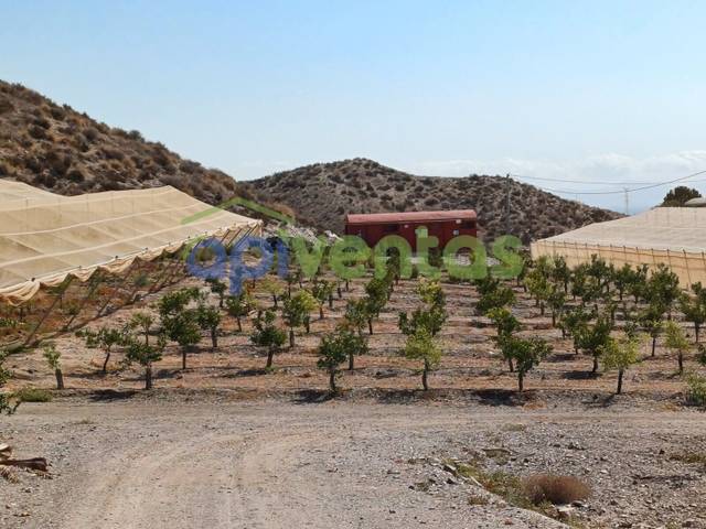 Terreno en Venta en Calabardina