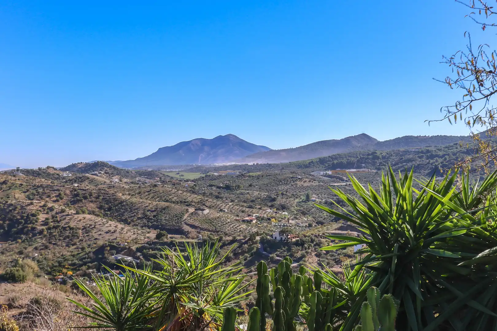 Houses for sale in Calle Luna, Monda