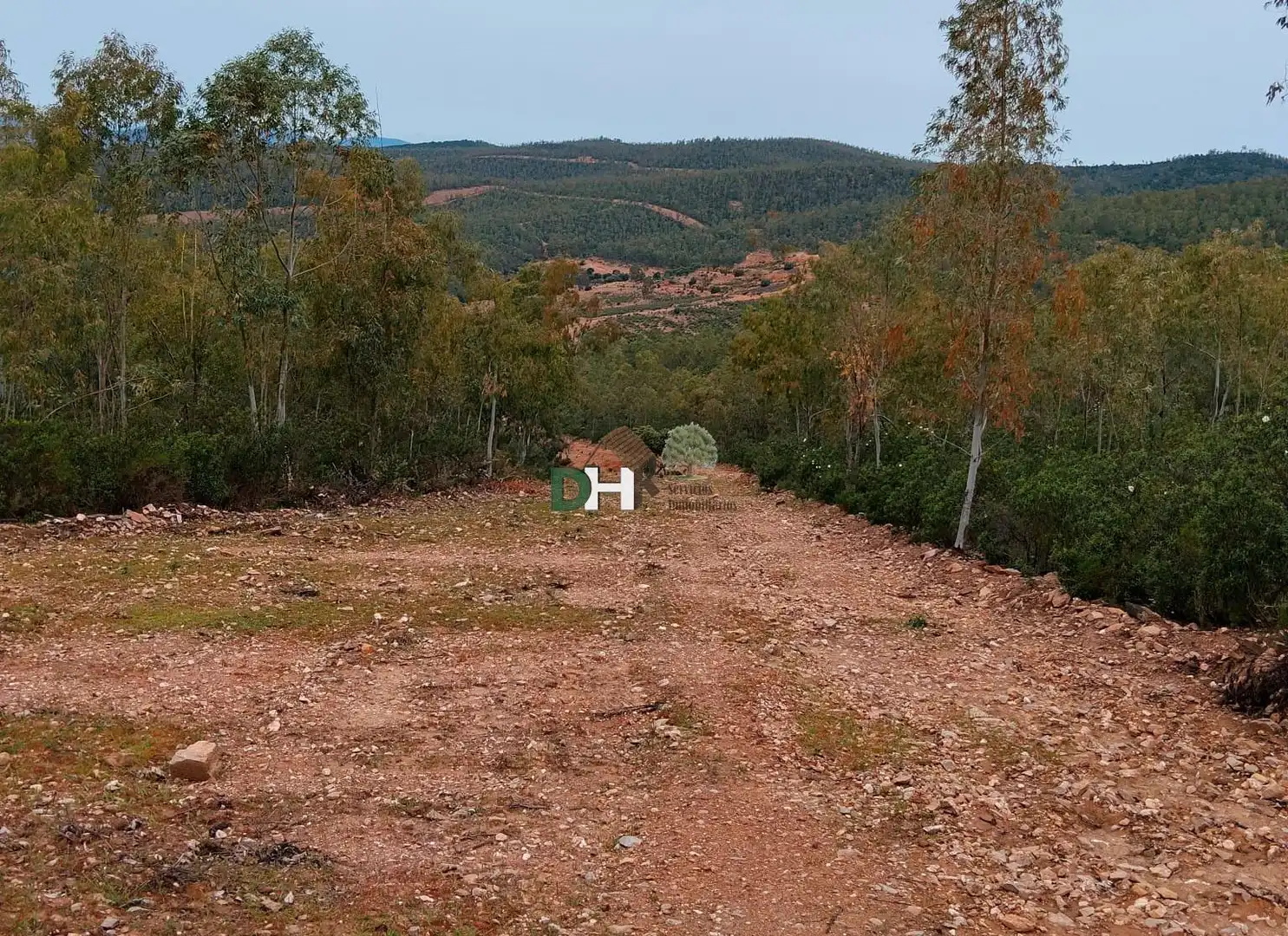 Terreni e lotti in vendita a San Roque - Ronda Norte, imagen 5