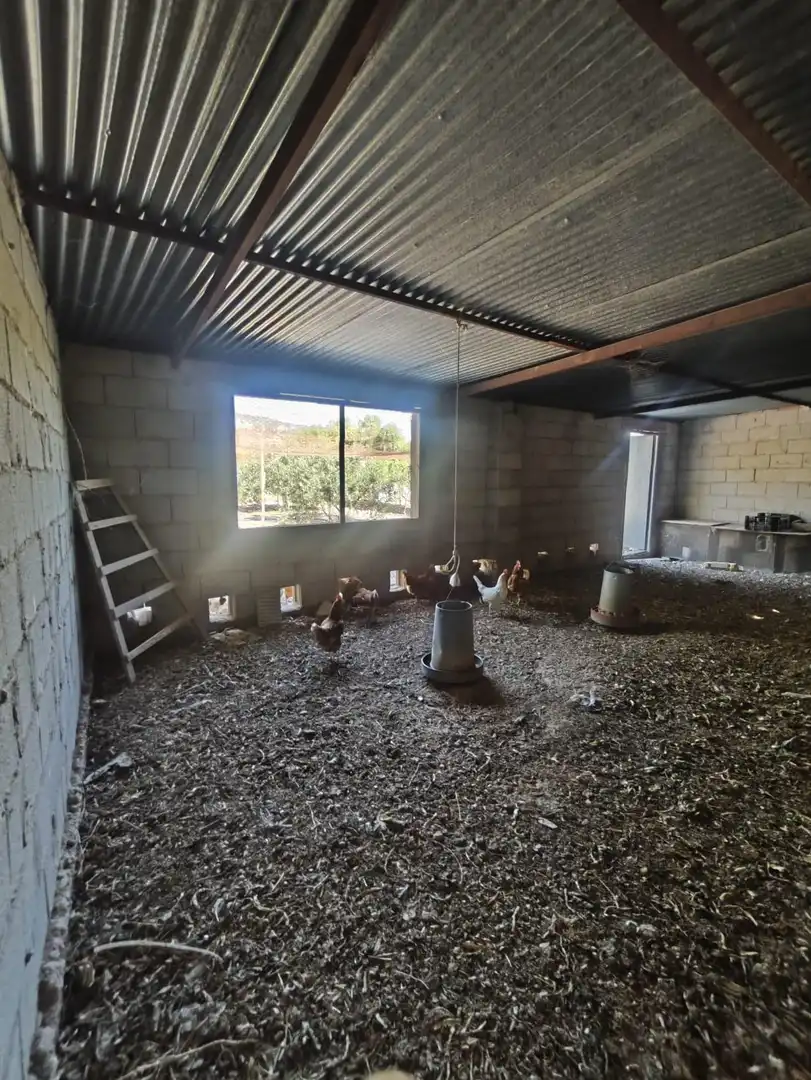 House with pool for sale in Petrer, imagen 66