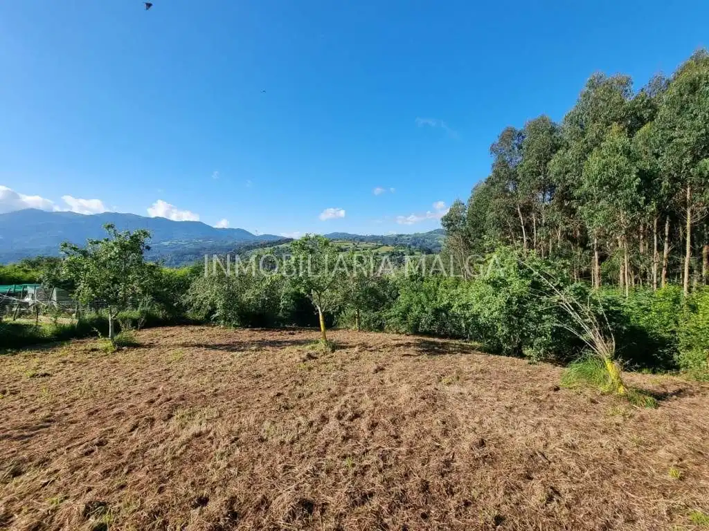 Terrain résidentiel à vendre à Colunga, imagen 11