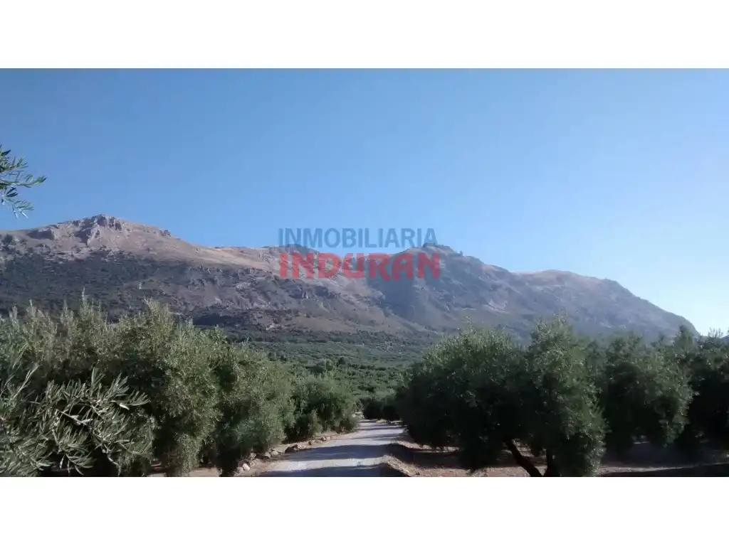 House for sale in Valdepeñas de Jaén, imagen 3