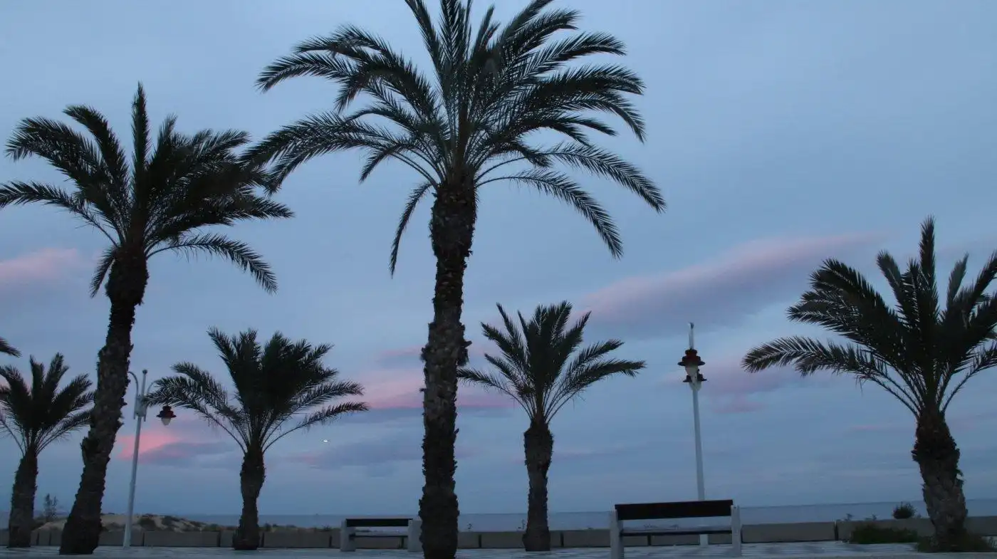 Exterior view of Apartments for sale in Elche / Elx  with Private garden, Terrace and Storage room