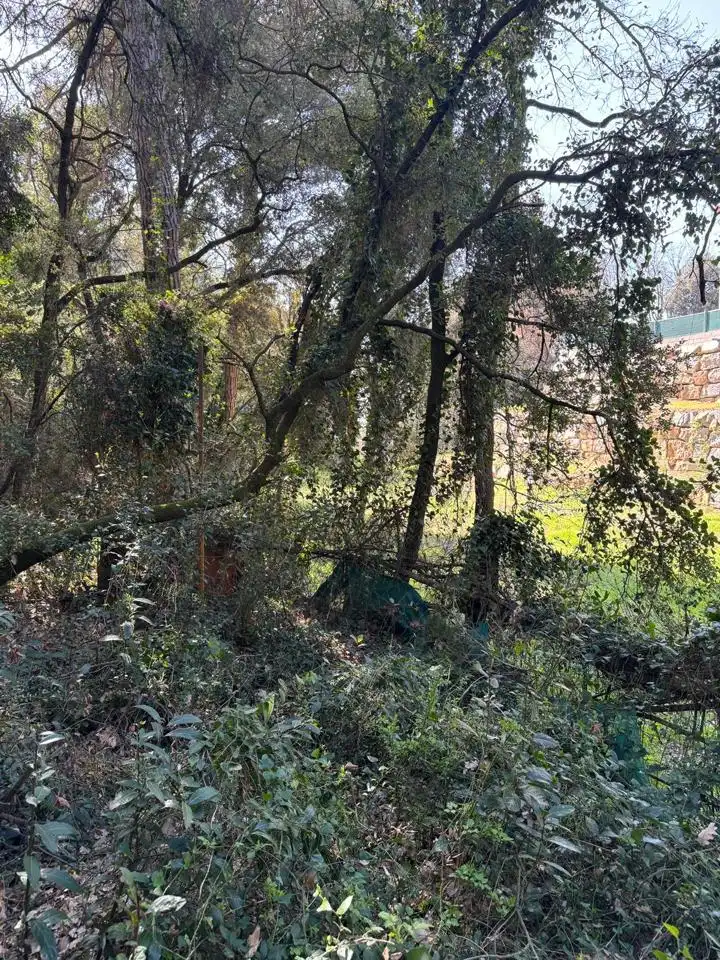 Grundstücke und Bauplätze zum Verkauf in De Lluis Millet, imagen 11