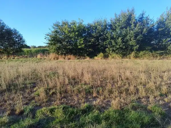 Terreni e lotti in vendita a Lugar Nadela 21, imagen 3