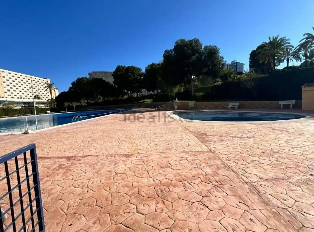 Piano terra con piscina in affitto a Playa de San Juan - El Cabo de las Huertas, imagen 10