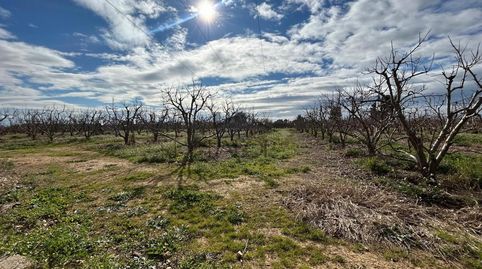 Foto 5 de Residencial en venda a Alberic, Valencia