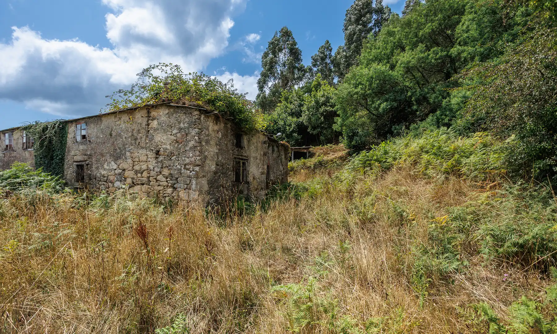Vista exterior de Finca rústica en venda en Ourol