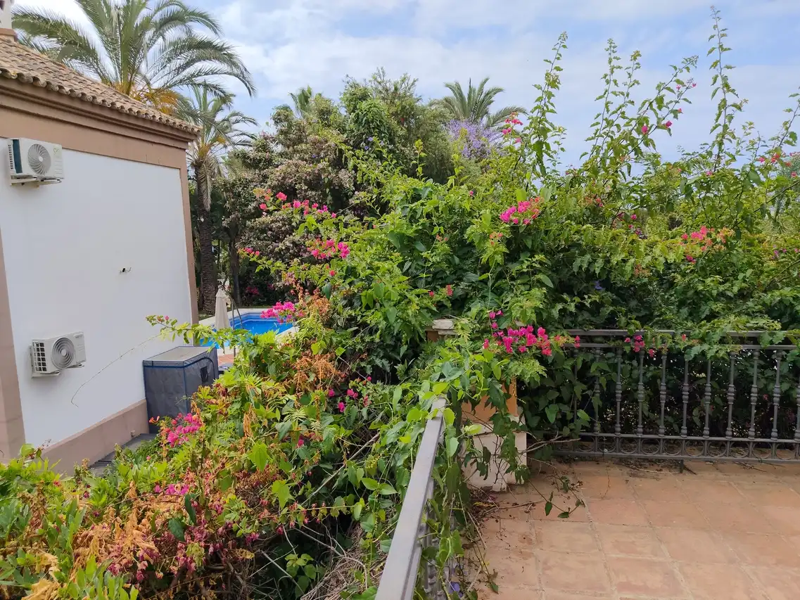 Jardí de Casa o xalet en venda en Estepona amb Jardí privat, Terrassa i Traster