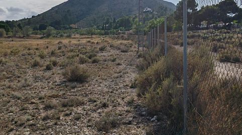 TERRENO RÚSTICO DE 40.000 M2 DE PARCELA EN CAMARA CON AGUA EN ELDA, image 4