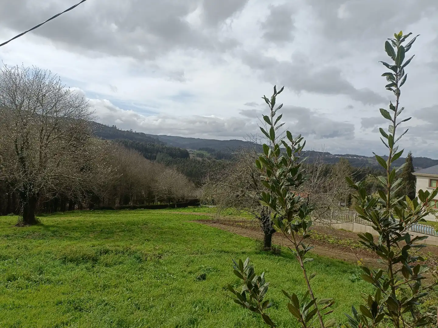 Terreni e lotti in vendita a Lugar Castelo, imagen 9