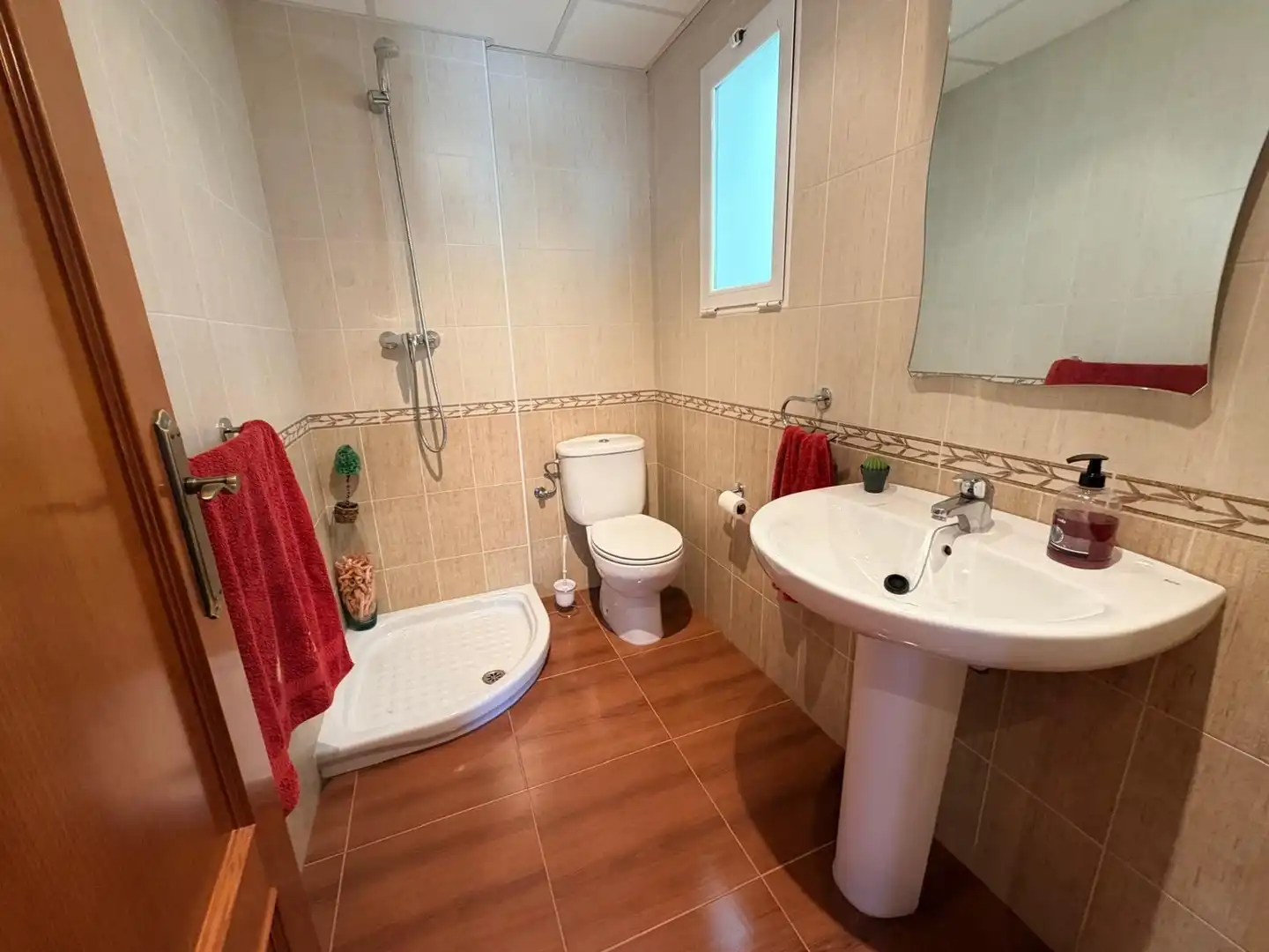 House with terrace for sale in El Palomar, imagen 5