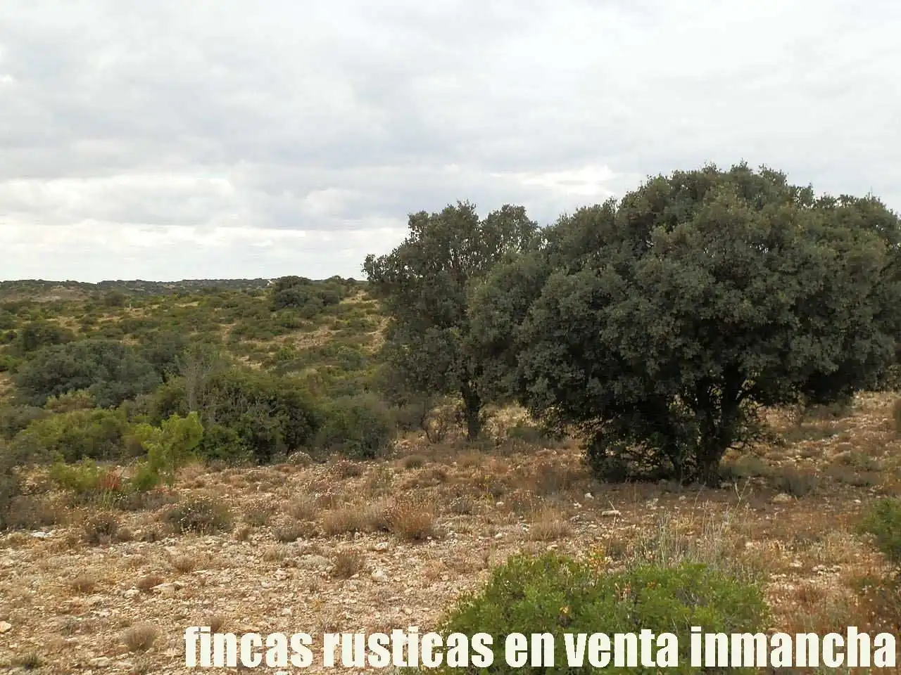 Terreni e lotti in vendita a Belmonte, imagen 18