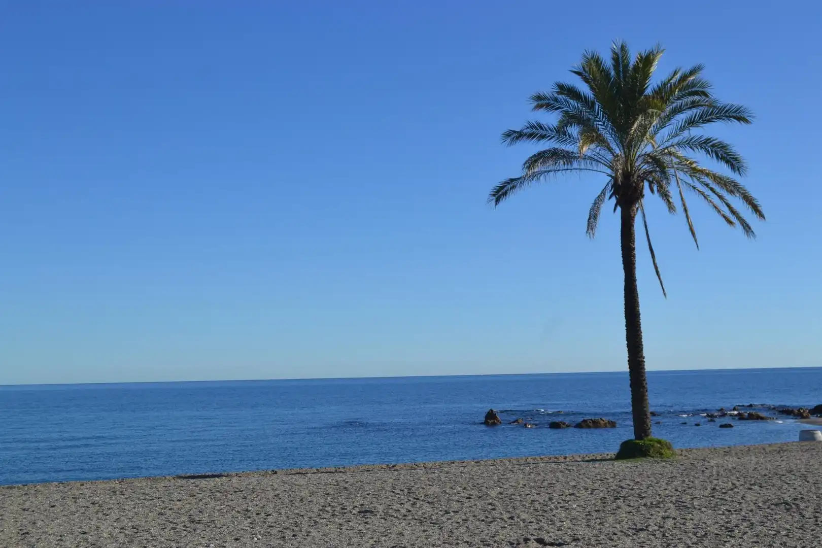 Vista exterior de Àtic en venda en Benalmádena amb Aire condicionat, Jardí privat i Terrassa