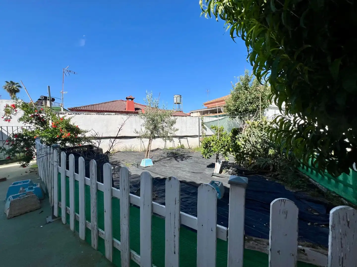Houses for sale in Alcolea
