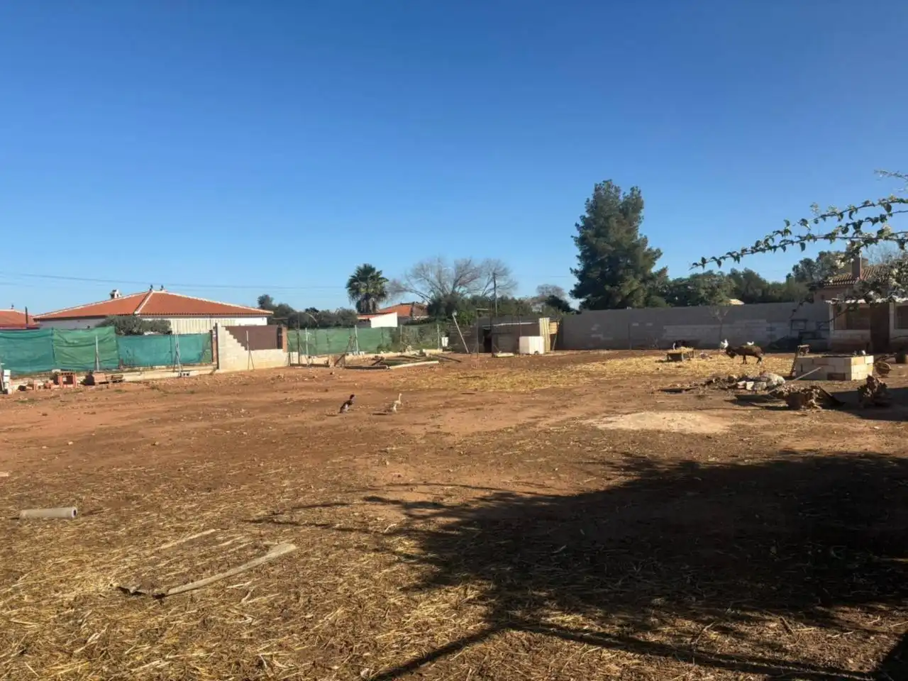 Casa o chalet en venta en Urbanizacion Nietos, Carmona