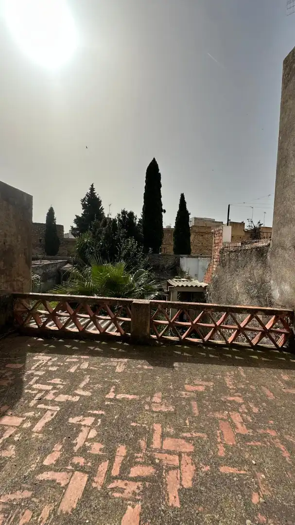 Jardí de Casa o xalet en venda en Sant Mateu amb Jardí privat, Terrassa i Moblat