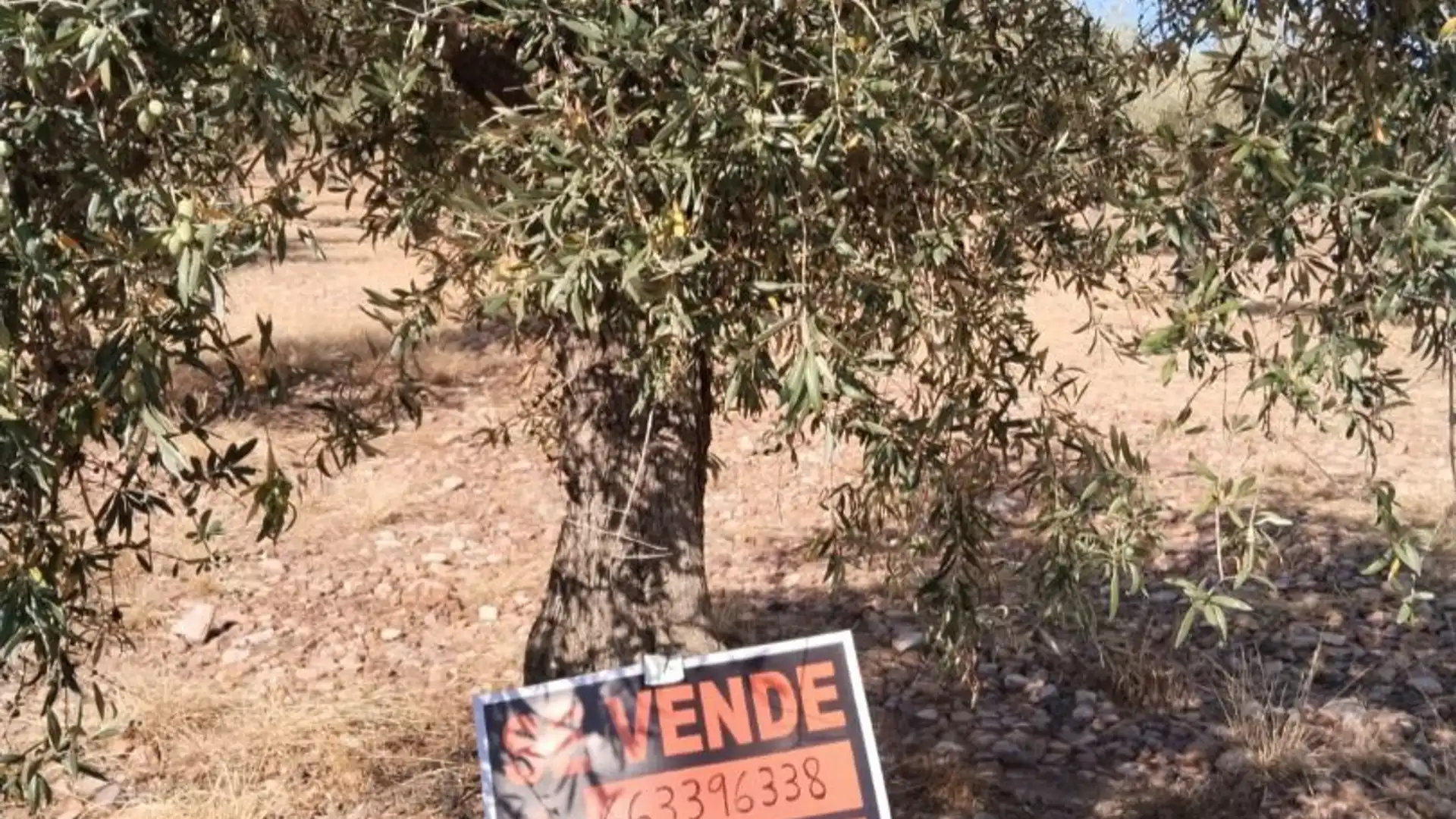 Terreno en venta en Navalvillar de Pela