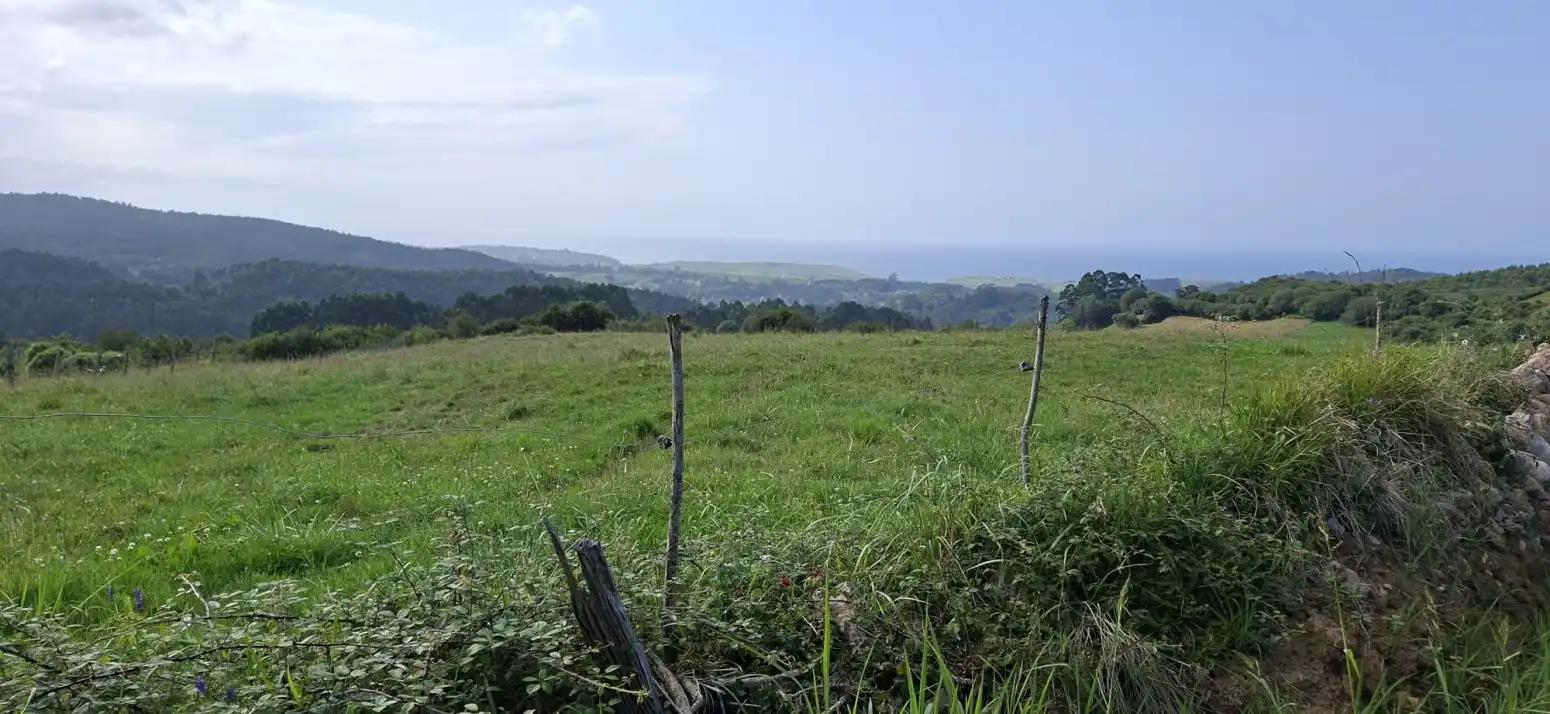 Terreny rústic en venda a Fresnedo - La Camba, imagen 3