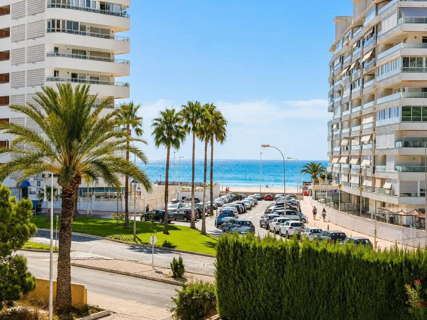 Detached homes for sale in Calle LLENTISCLE, Racó
