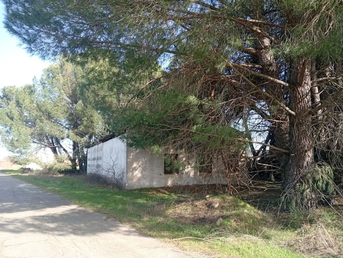 Terreni e lotti in vendita a Villanueva de la Vera