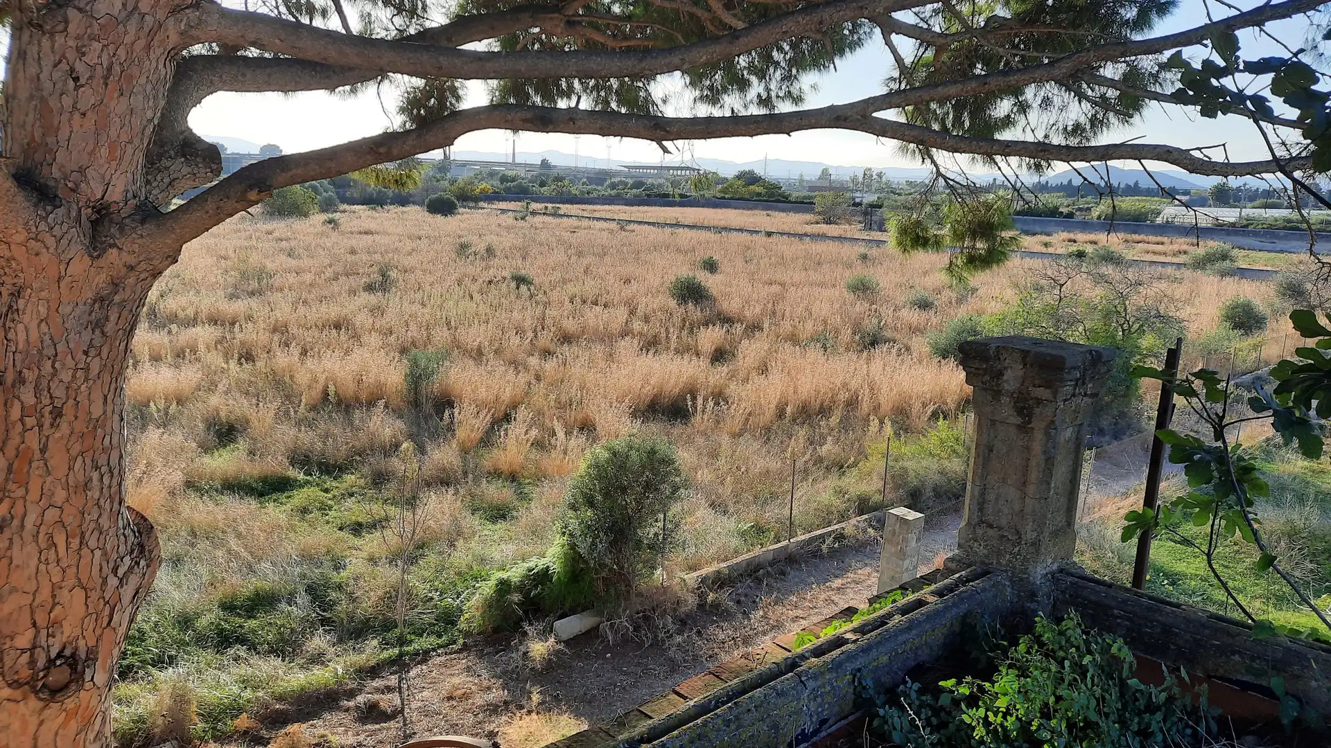 Finca rústica en venta en Plaça Poligono 29, Casco Urbano