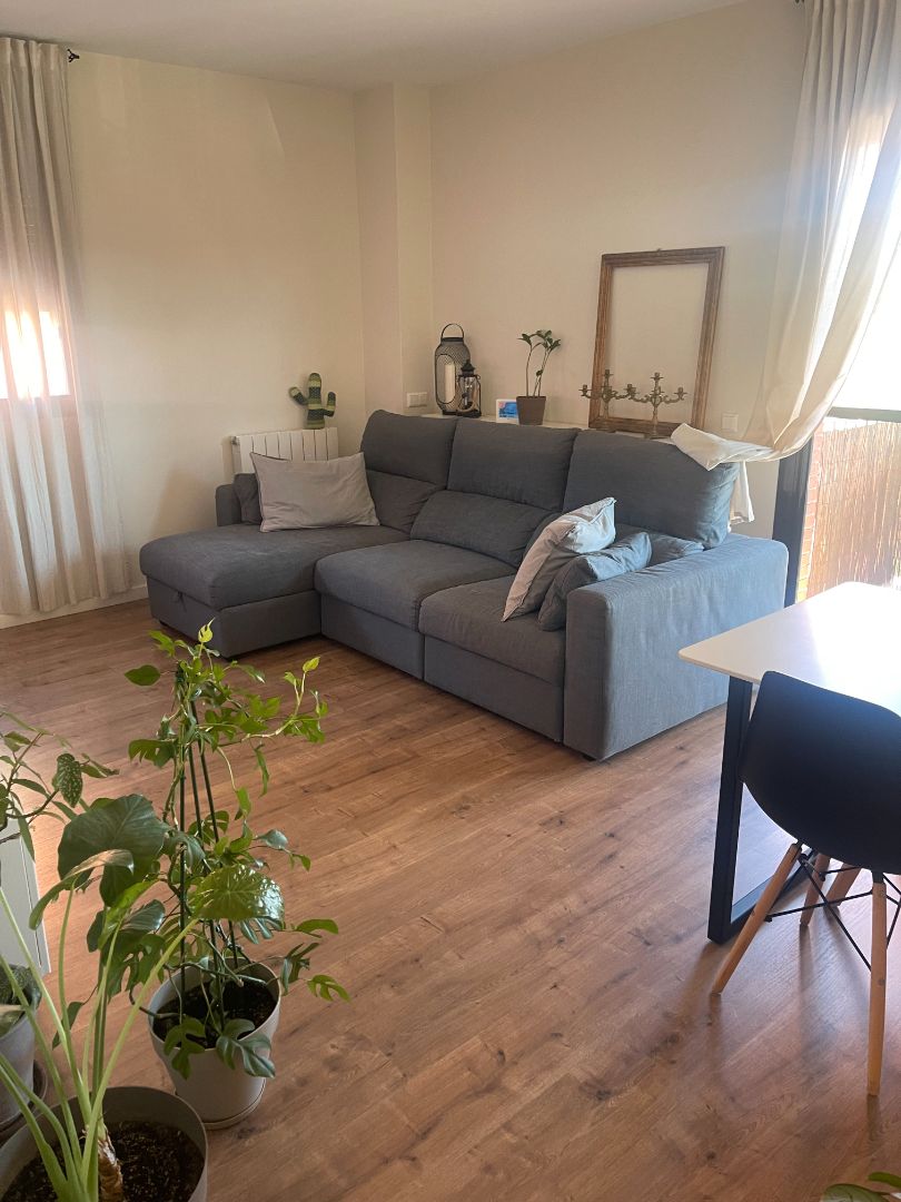 Sala d'estar de Pis en venda en Sant Esteve Sesrovires amb Aire condicionat, Calefacció i Parquet