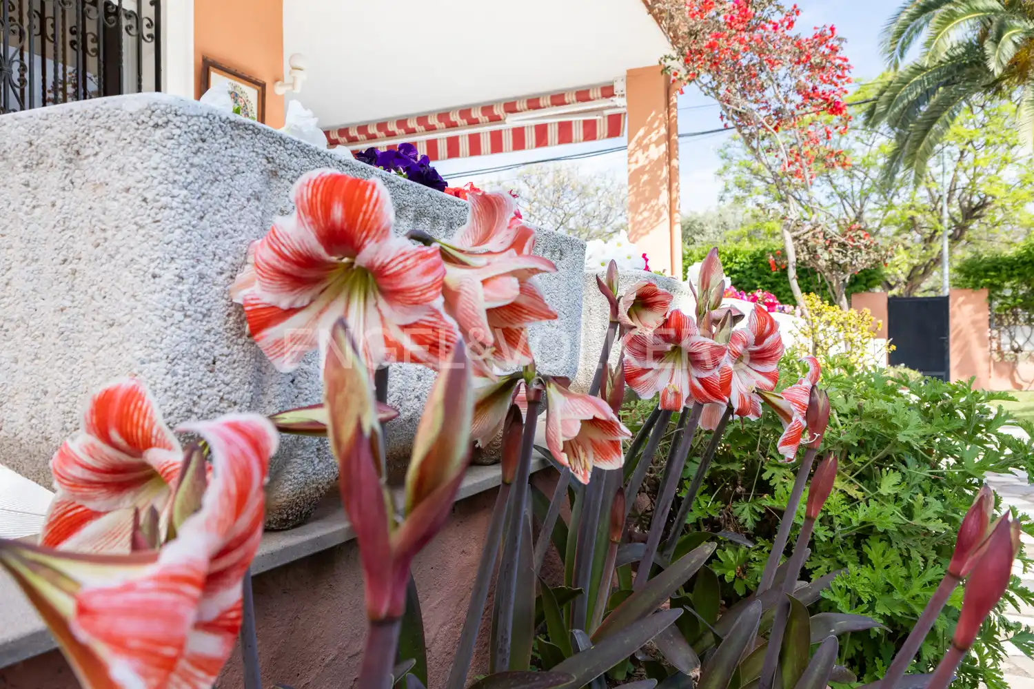 Jardí de Casa o xalet en venda en Benicasim / Benicàssim amb Calefacció, Jardí privat i Terrassa