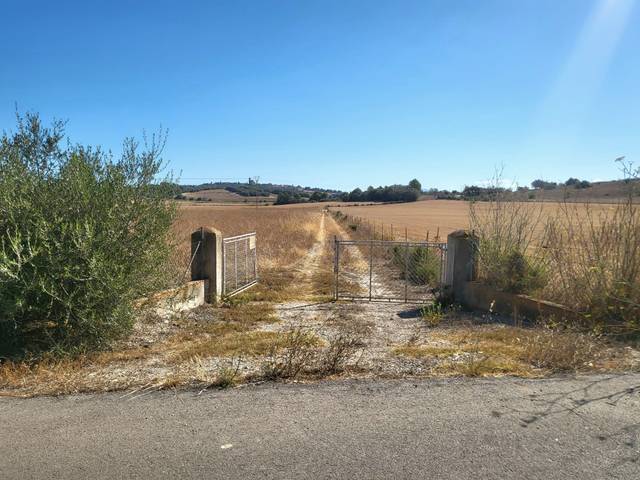 Terreno en Venta en Ariany