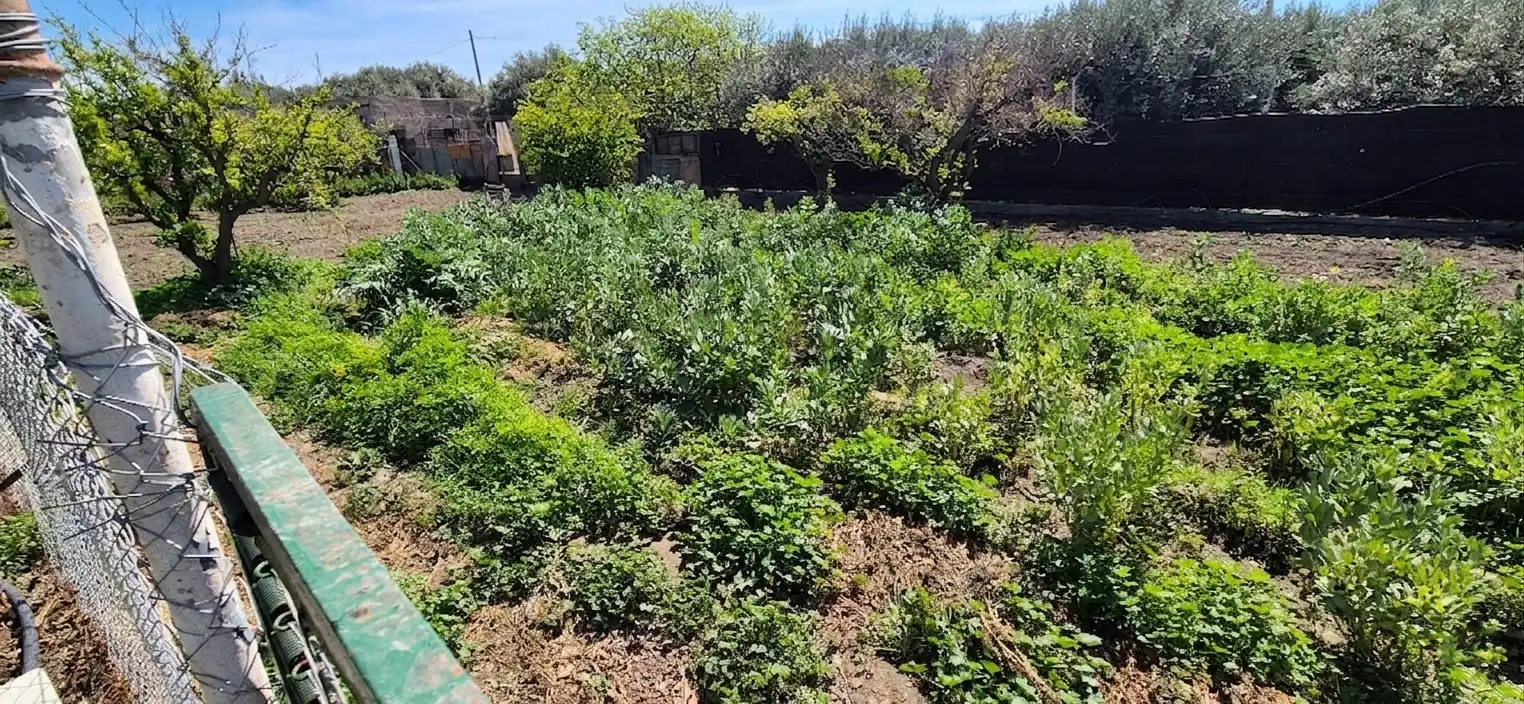 Finca rústica en venda en Benahadux