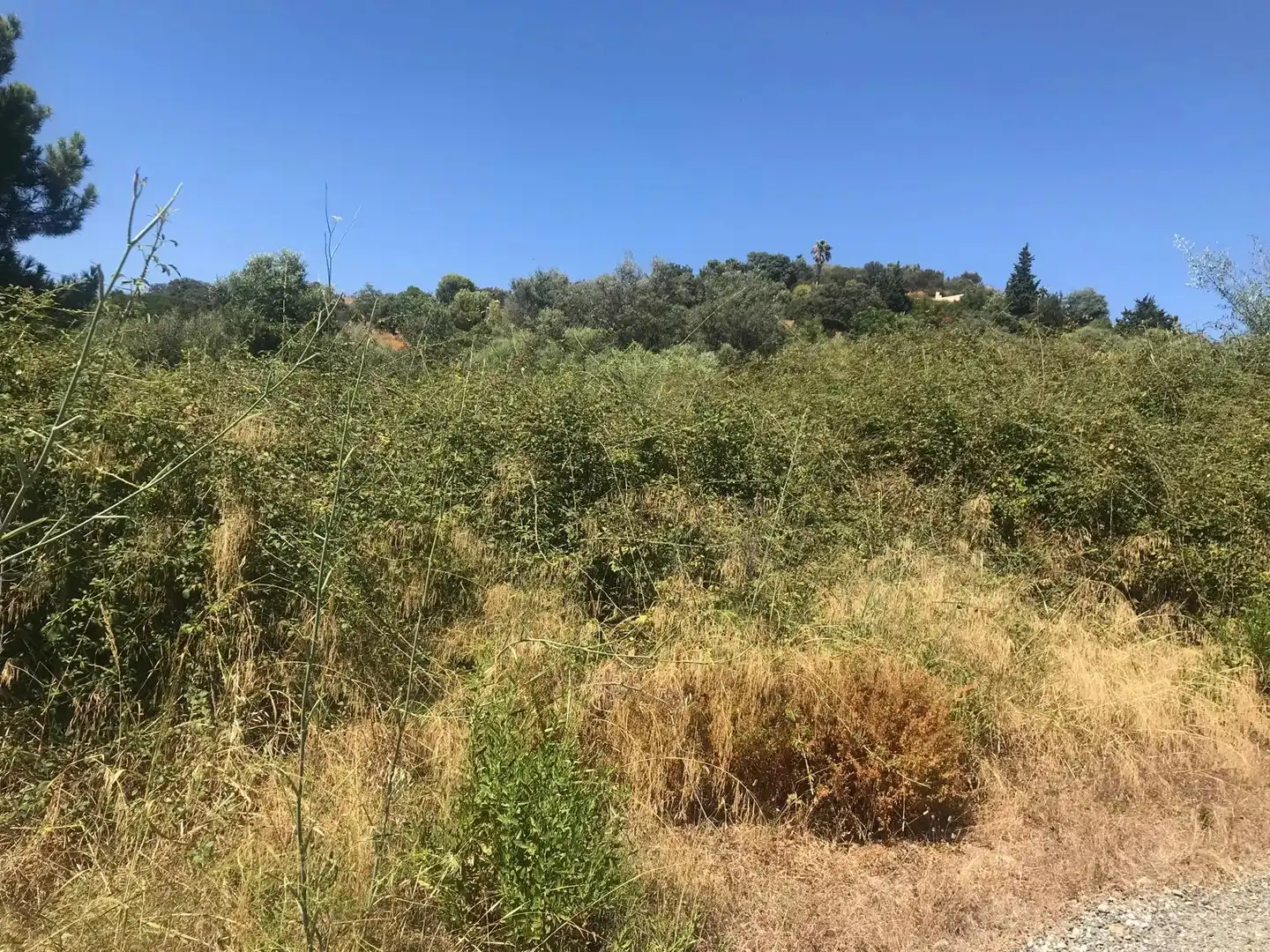 Grundstücke zum Verkauf in Estepona
