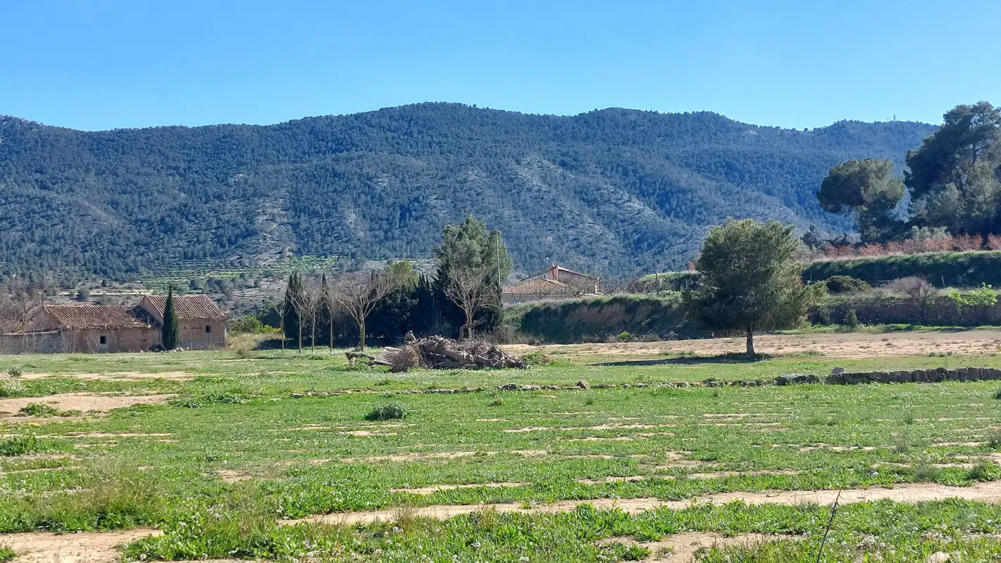 Casa o chalet en venta en Hondón de las Nieves / El Fondó de les Neus con Aire acondicionado, Calefacción y Jardín privado
