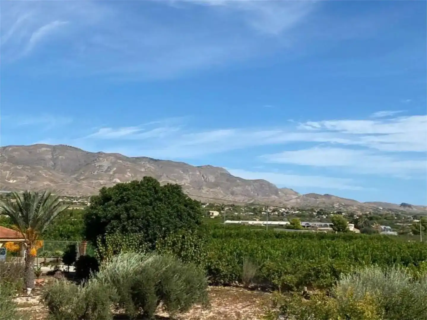 Vista exterior de Pis en venda en Albatera amb Aire condicionat, Jardí privat i Parquet