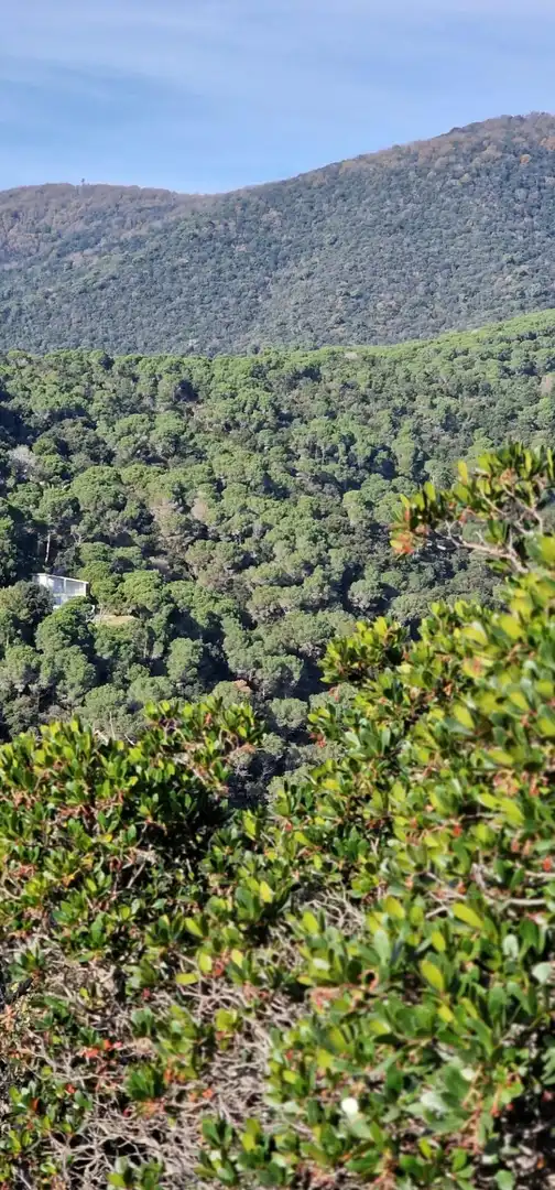 Vista exterior de Terreny en venda en Sant Cebrià de Vallalta