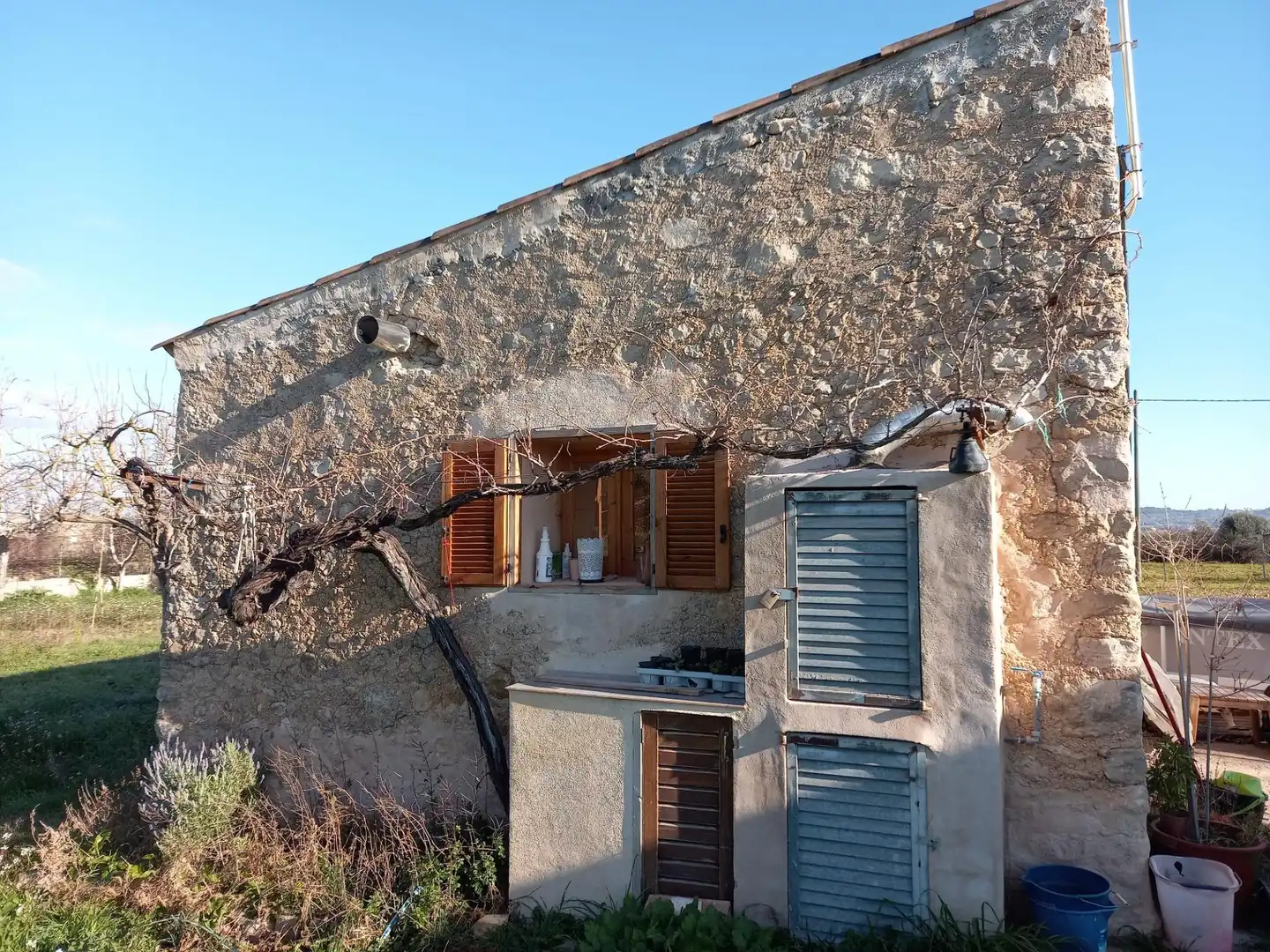 Vista exterior de Casa o xalet en venda en Algaida amb Jardí privat i Moblat