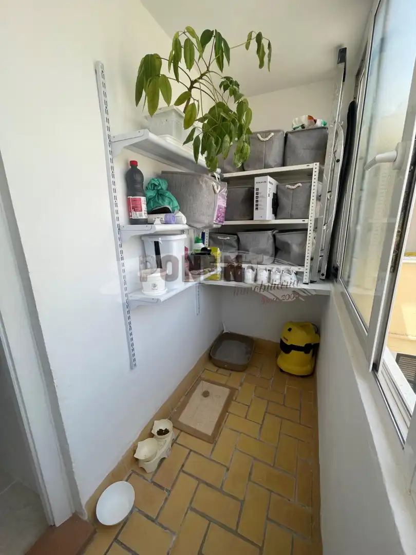 Apartments for sale in Puig des Molins