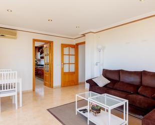Living room of Attic for sale in Oria  with Terrace and Balcony