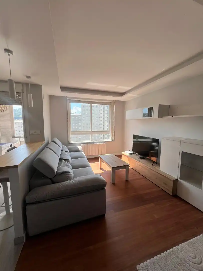 Sala de estar de Piso en venta en Ourense Capital  con Calefacción, Parquet y Horno