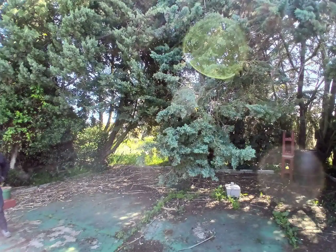 Xalet en venda a Cr Pío de Cela, imagen 33