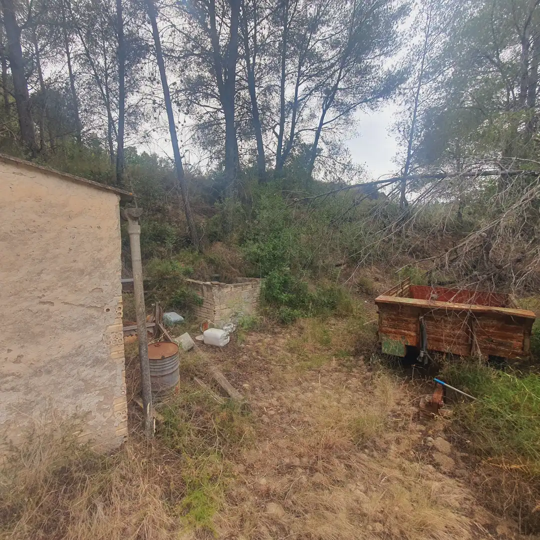 Terreno rústico en venta en Benifallet, imagen 24