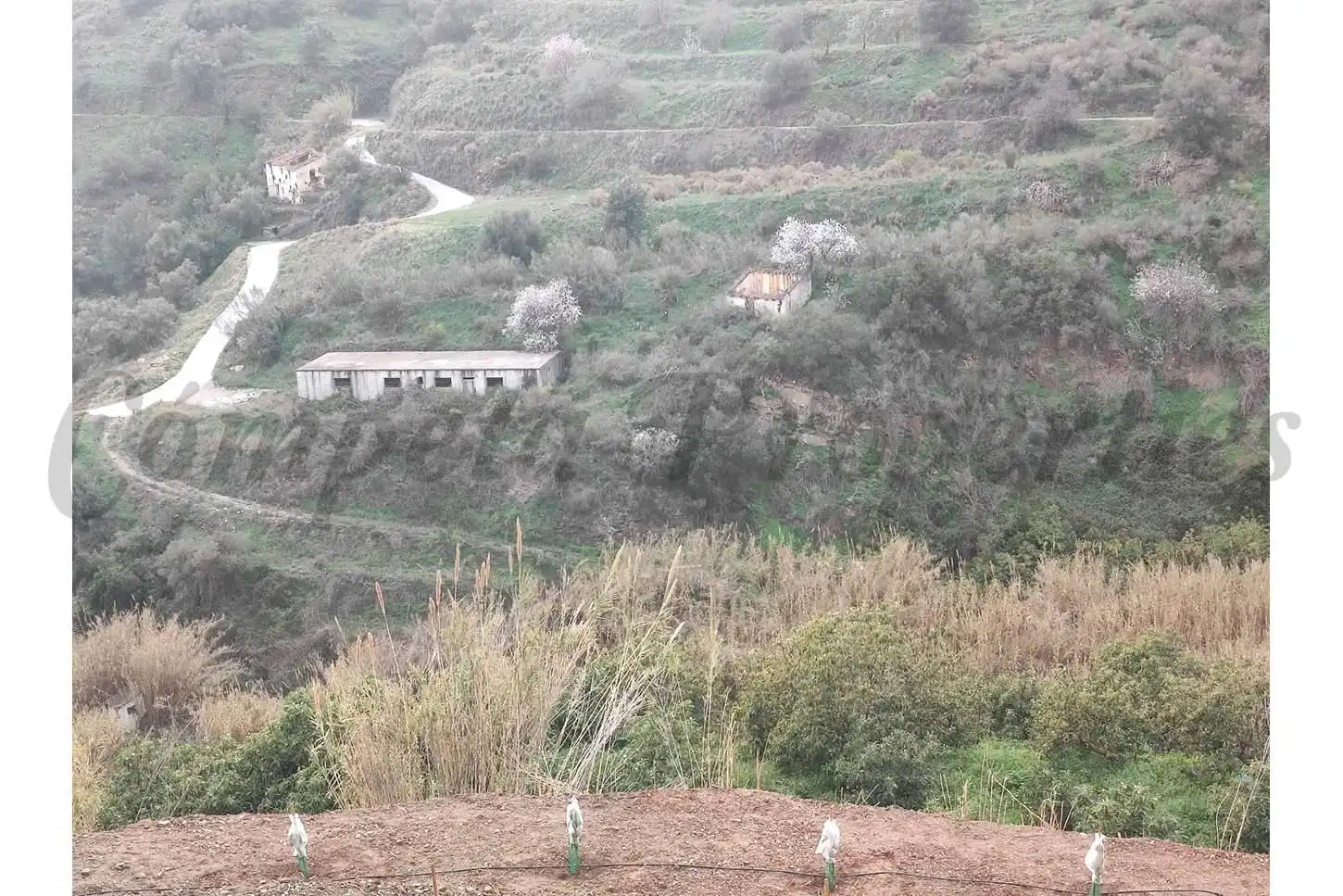 Rustikales Grundstück zum Verkauf in Torrox Pueblo, imagen 2
