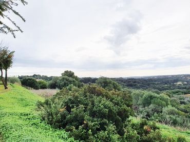 Terrenos y solares en venta en Puerto de Sotogrande - La Marina