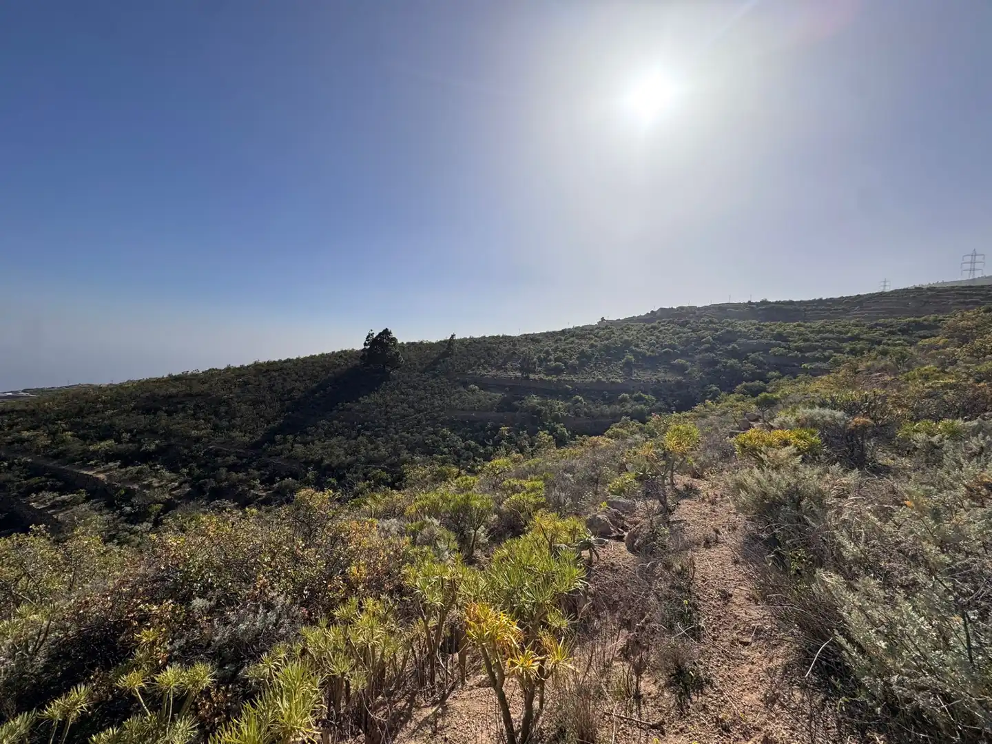 Rural land for sale in El Escobonal - Pájara, imagen 7