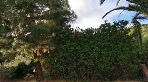 Foto 5 de Residencial en venda a Calle Cassiopea, 155, Breña Alta, Santa Cruz de Tenerife